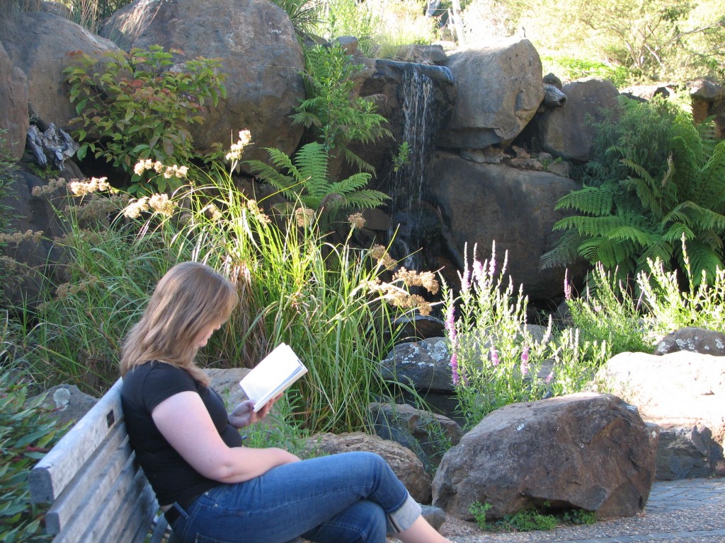 australian-national-botanic-gardens_20090103_111-1024×768